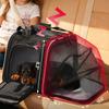 Motorcycle Rear Seat Dog Pet Car Bag Large Capacity Electric Vehicle Foldable Portable Multi-functional Going Out Backpack
