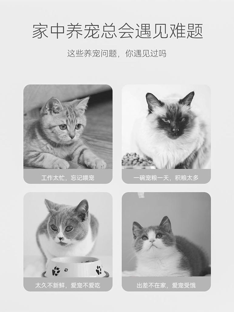 Katze Doppelnapf Automatischer Trinkwasser-Spender Integriertes Haustier-Trinkbecken Katzenfutter Hundenapf Haustierbedarf