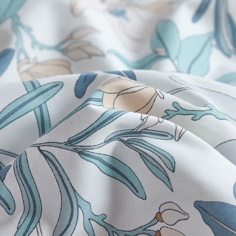 Taihuxue Tussah Silk Summer Cooling Quilt