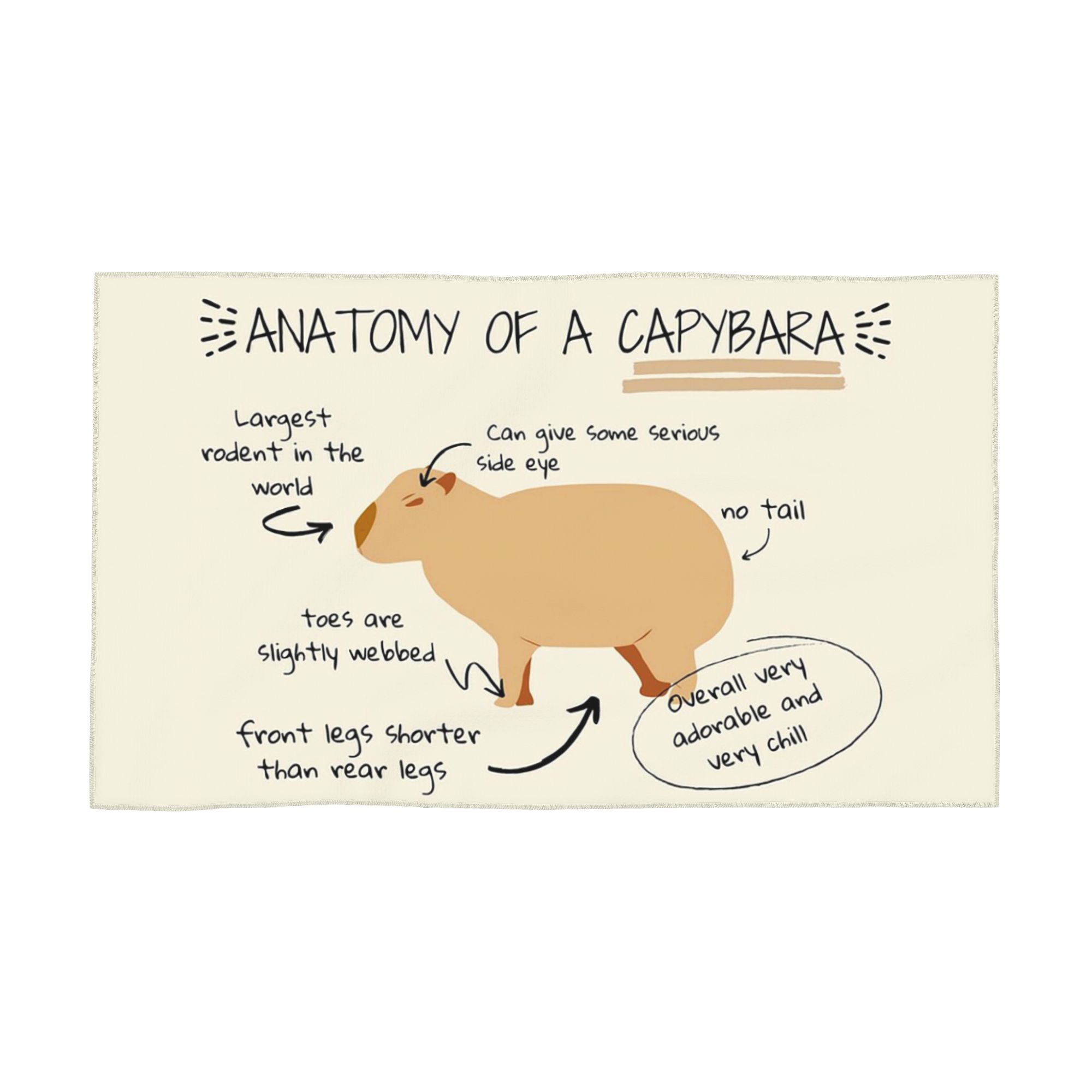 

Anatomy of a Capybara Soft Face Towel Quick Dry Pool Bath Cotton Towels Absorbent W40*H60(CM)