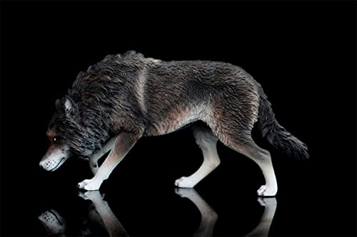 1/6 Scale Coyote Wolf Animal Figure, Realistic PVC Plastic Model, Premium Adult Toy, 20cm Class, Original Statue, Painted, Complete, Perfect for Anima
