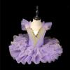 Kids Ballet Dance Tutu Little Swan Girls Performance Dress Soft Tulle Skirt New Princess Dress Stage Costume for Recitals