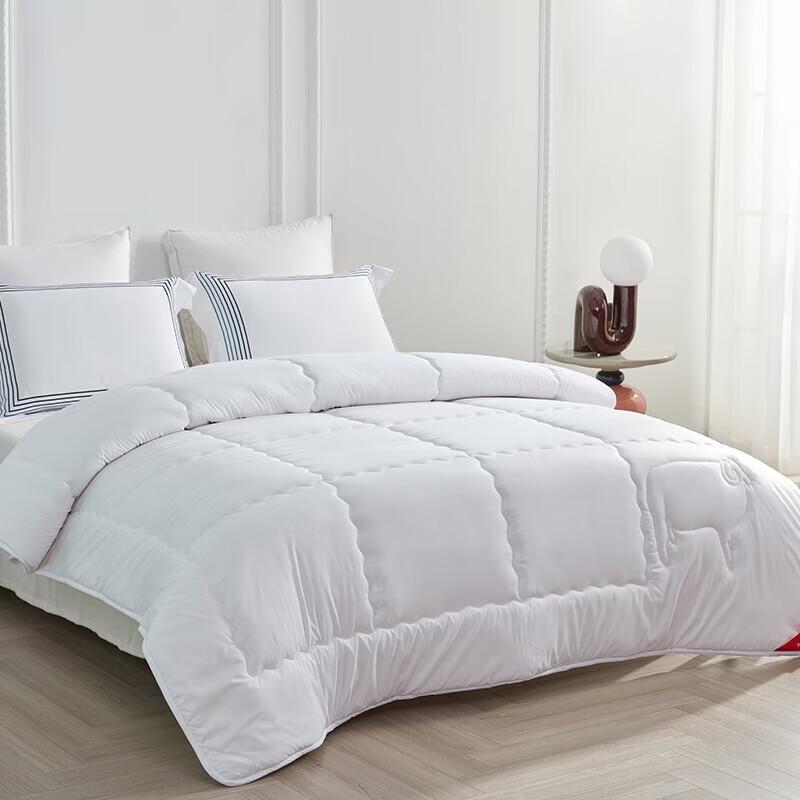 Mengjie 100% Wool All-Season Detachable Duvet