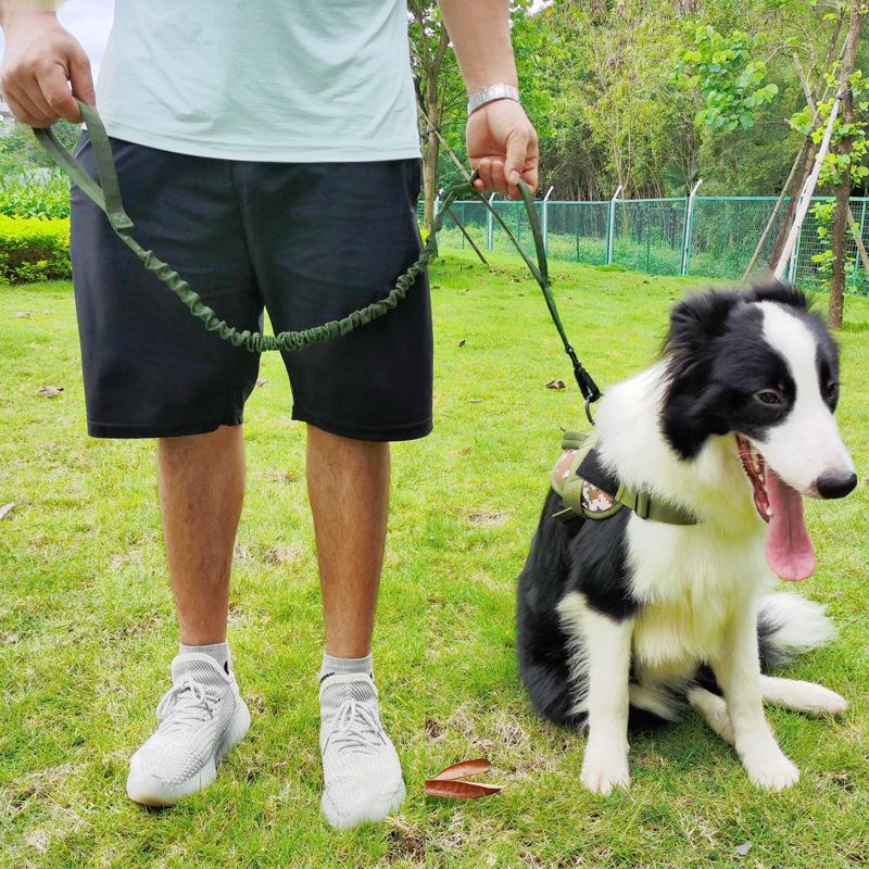 Tactical Elastic Buffer Dog Leash