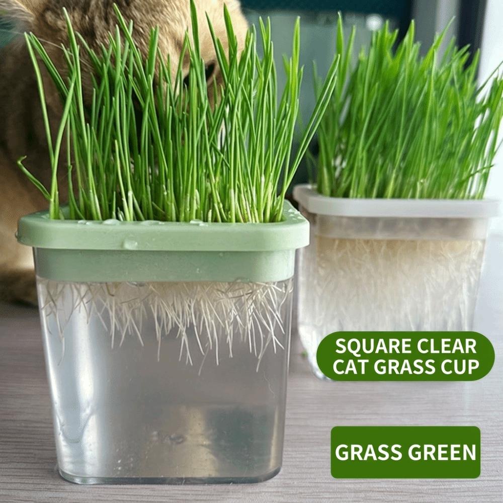 Layered Cat Grass Box Planter Detachable Microgreens Growing Box Indoor Growing