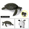 Oenux Ocean Animals  Leatherback Tortoise Turtle Growth Cycle Sea Life Model Figurines Action Figures PVC Education Kid Toy Gift
