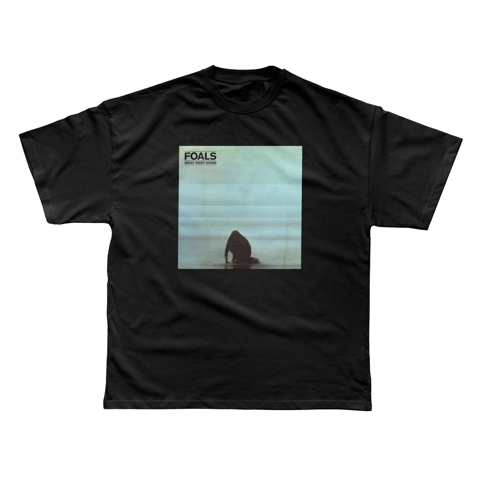 Foals - What Went Down Unisex T shirt 2XL