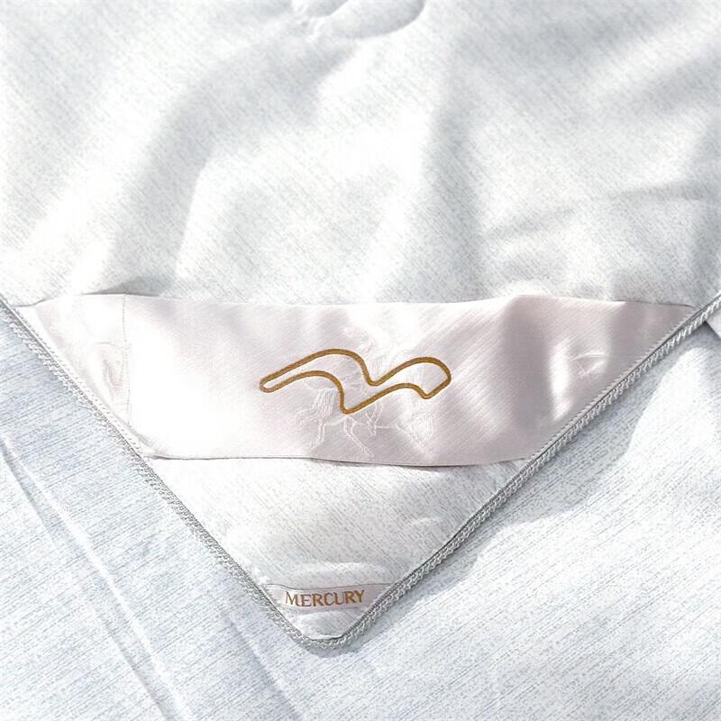 Mercury Home Textiles Tussah Silk Quilt