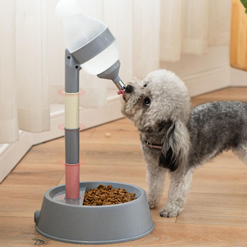 Multipurpose Cat Water Bottle Height Adjustable Automatic Water Feeder Indoor Feeding