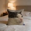 Meme Cat Funny Cushion Cover For Pillow Printing Sofa Decoration Home Car Room Coffee Shop Office Nordic Simplicity