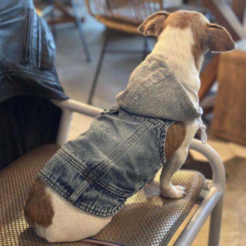 1pc New Hooded Harness Vest, Suitable for Small Dogs Like Poodle, Bichon Frise, Teddy, Spring/Autumn Pet Clothes