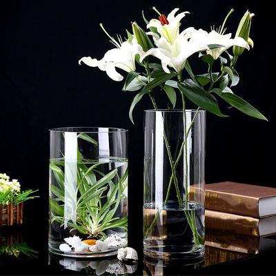 Zylindervase Blumenvase Transparent Glasvase Hydrokultur Pflanzvase Nordische Blumenvase Heim Wohnzimmer Tischdekoration Geschenk