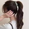 Acetate Finish Banana Hair Clip Curved Banana Shape Vertical Hair Clip  Ponytail Styling