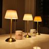 3 Color Lights Desk Ambient Light Stepless Dimmable LED Bedside Lamp Nightstand Light  Nightstand