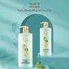 Selsun Green Tea Seed Oil Control Anti-Dandruff Shampoo