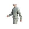 Adidas Originals Trefoil Striped Logo Embroidered Crewneck Sweatshirt Men Tops Silver-Green IB8696