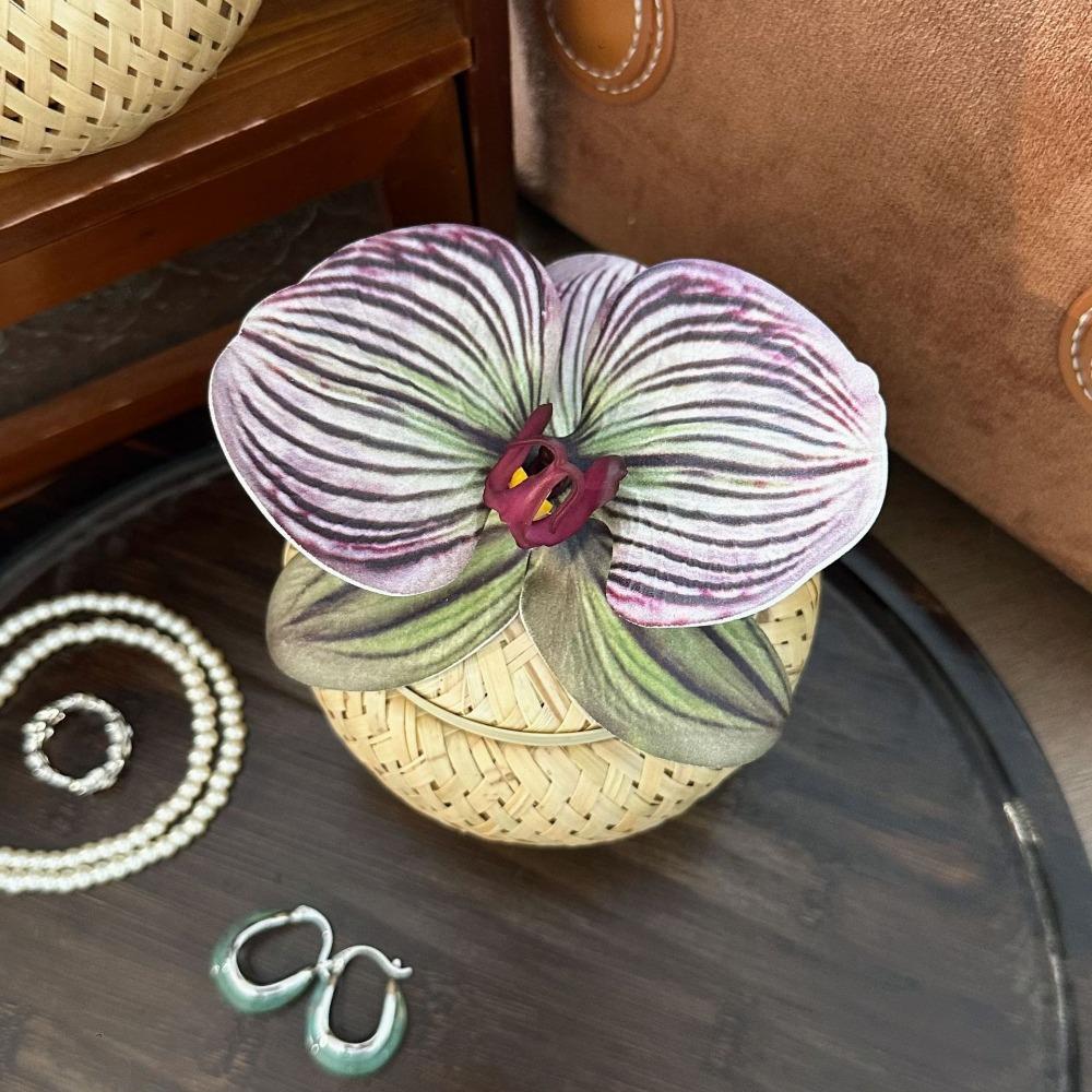 

Jewelry Case Bamboo Weave Jewelry Box Flower Ring Display Holder Jewelry Display Tray Women Gift