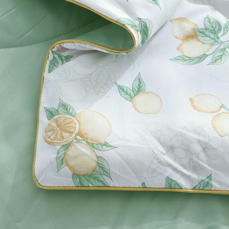 Hongdou 7A Antibacterial Washed Cotton Summer Quilt