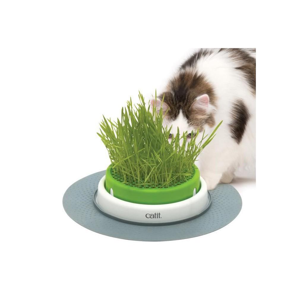 Фильтр catit senses 2. Игрушка catit. Catit питьевой фонтан "цветок" 3л. Catit senses 2. Catit senses 2.