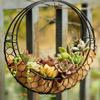 Pot Hanging Garden Planter Succulent Cactus Pot, Assorted Designs