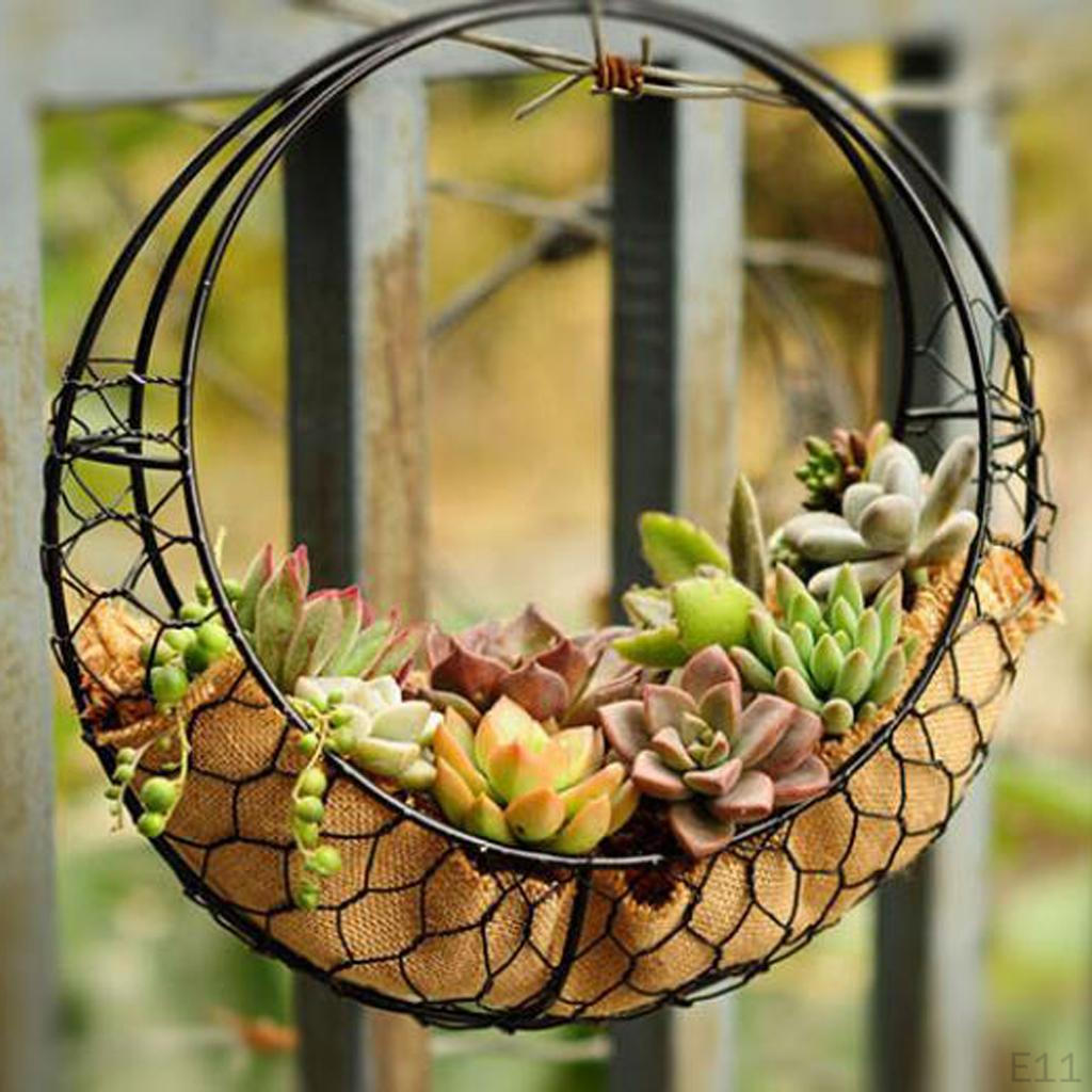 Pot Hanging Garden Planter Succulent Cactus Pot, Assorted Designs