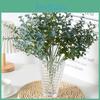Smith Robusta Eucalyptus Foliage Decor Home And Event Styling Material Pvc