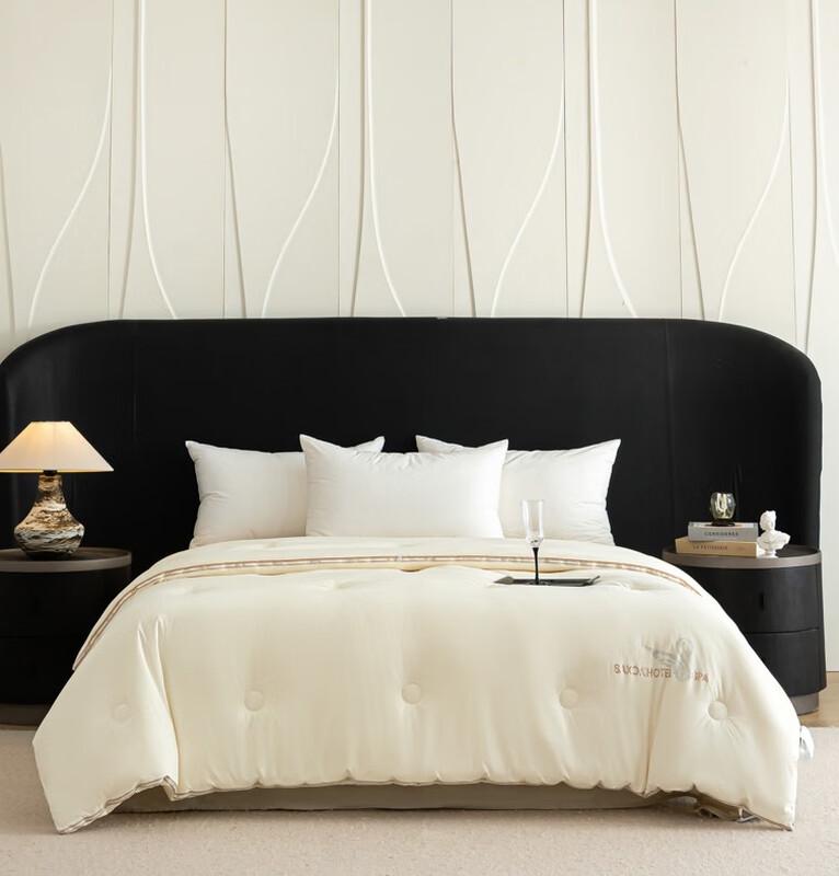 

Lycra Cashmere Double-Layer Antibacterial Winter Quilt