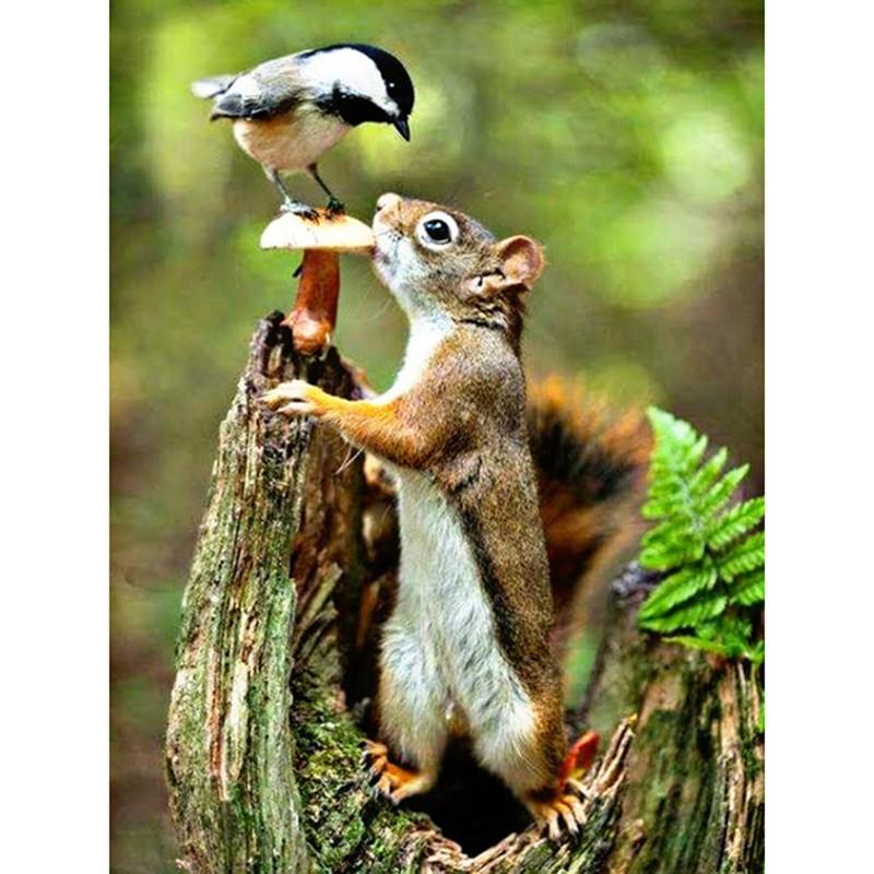 

Новый стиль DIY Craft 5D Алмазная живопись Вышивка Крест Ремесло