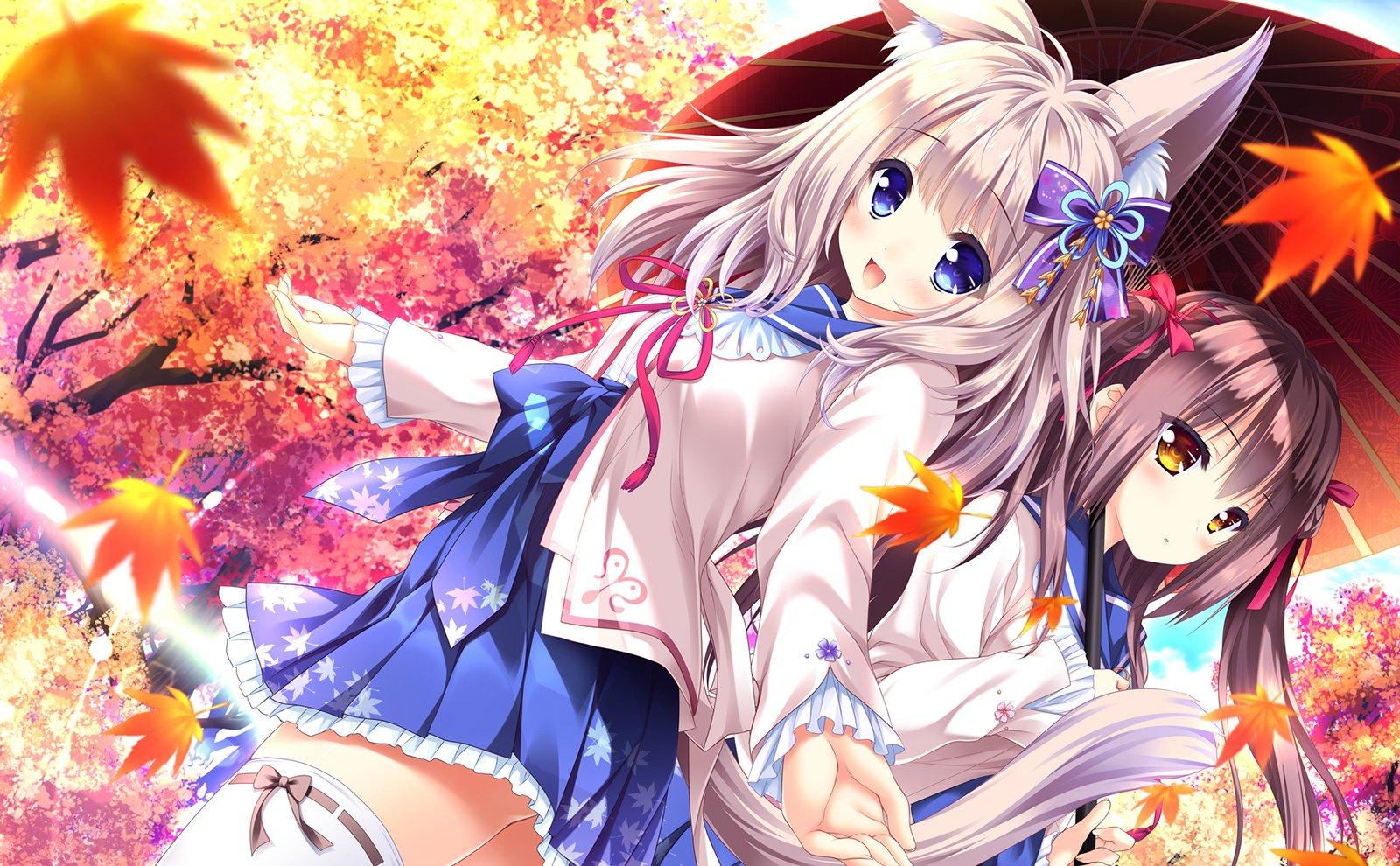 

The edges of this leaf are red [Premium Pack]