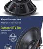 6.5-21 inch High-Power Mid-Bass Pro Stage Speaker with Neodymium Magnet