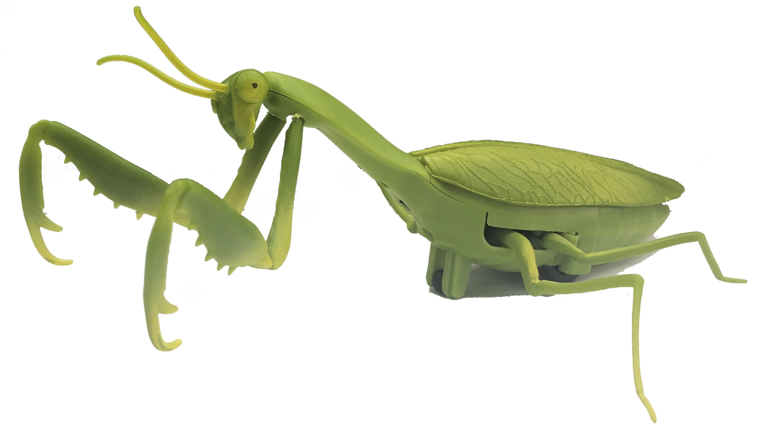 Doyusha IRC Серия Бегающих Насекомых №1 Богомол Электрическое Инфракрасное Управление 14563