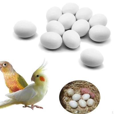 12x Solid Pigeon Eggs Simulation White Artificial Dove False for Incubation Homing