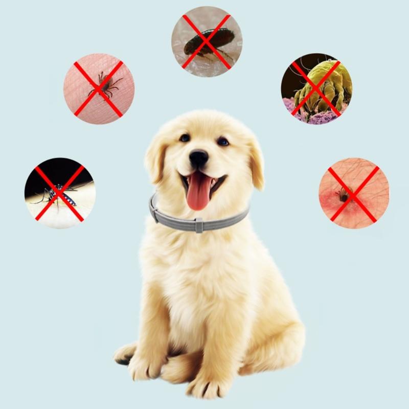 Flea & Tick Collar for Dogs and Puppies Flea and Tick Prevention for Protections Adjustable Flea and Tick Collar