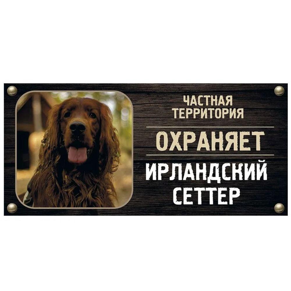 DORA Tin Sign Guard Dog Private Property Sign Metal House Number Plaque