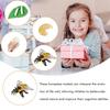 Insects Life Cycle Kit Stages of Insect with Wooden Tray Educational School Project for Kids