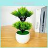 Double Layer Pteris Multifda Poir Simulation Of Potted Green Plant Decoration