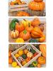 Pumpkin Harvest Festival Props: Farmhouse Halloween Decoration for Mall Displays and Room Ornaments
