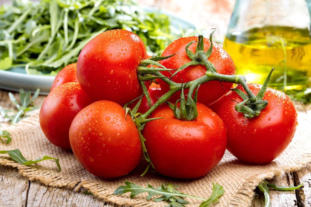 SAFLAX Organic - Tomato - Matina - 10 Seeds - With Potting Substrate for Better Cultivation - Solanum Lycopersicum