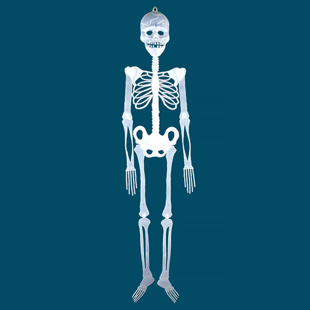 

Реалистичные украшения в виде черепа на Хэллоуин для пугающего эффекта, подвесной скелет, декор на Хэллоуин, АБС-пластик, скелет человека 150 см светло-зеленый