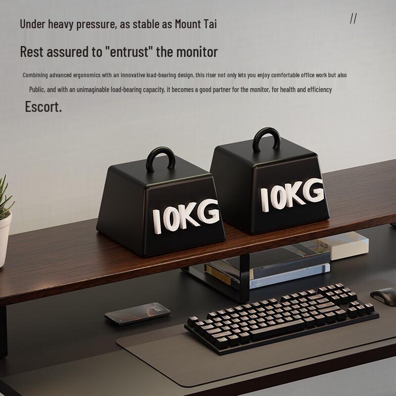 mryc Monitor & Laptop Riser Stand with Storage