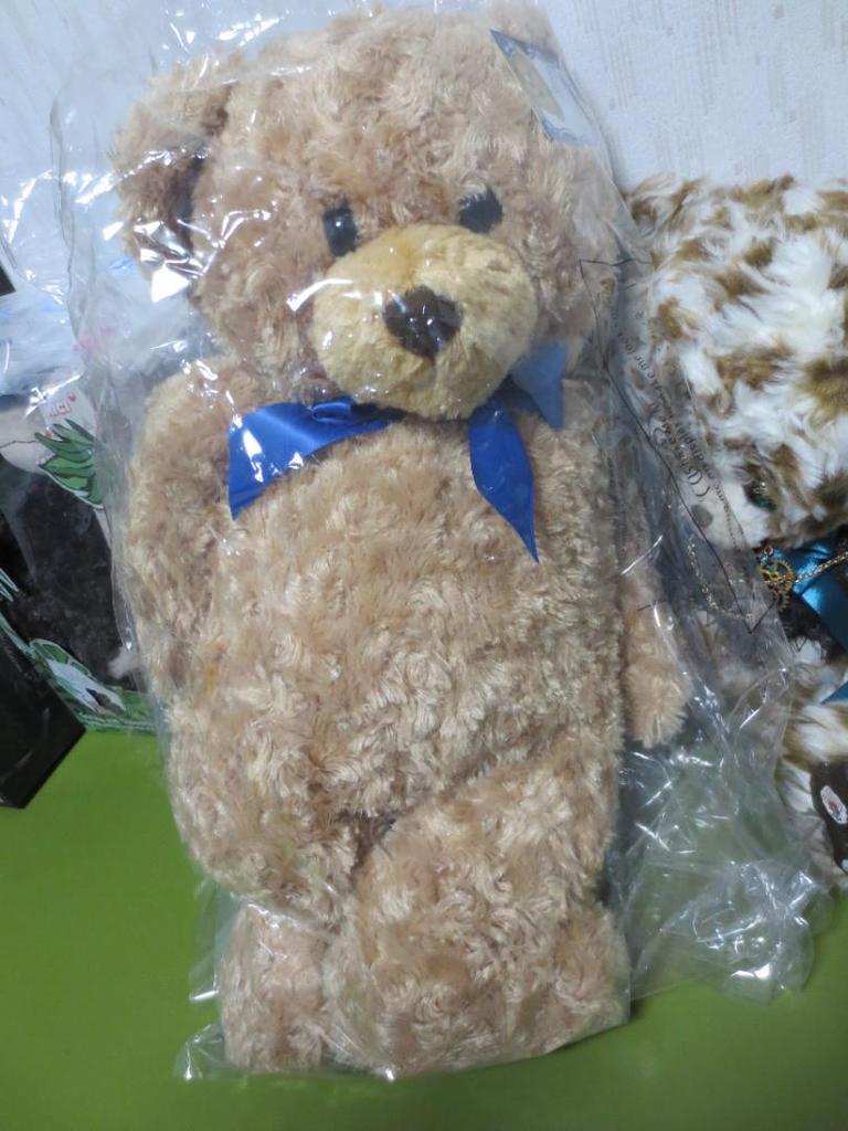 [USED] Honey teddy bear plush toy with tag, large size, 52cm! BIG!