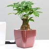 Flower Pot Self Watering Heat Resistant PP Automatic Draining System Planter Household Supplies