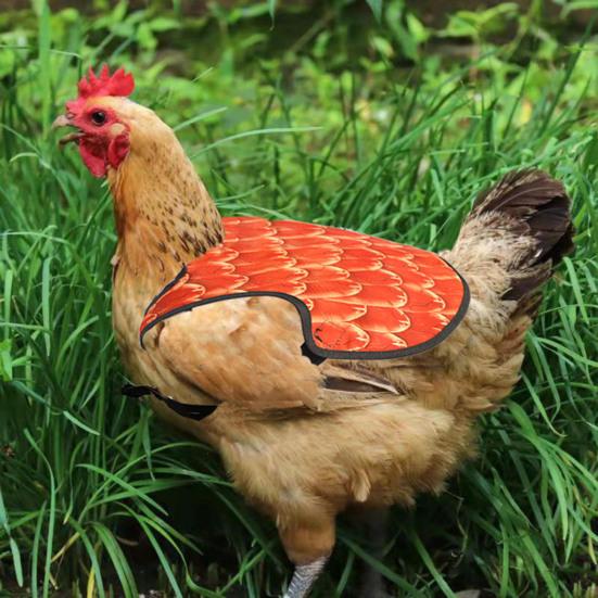 Chicken Apron Back Protector with Adjustable Strap Lightweight Easy To Use Feather Recovery Apron Chicken Hen Mating Saddle