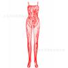 Sexy underwear sexy mesh onesie open-file hollow jacquard