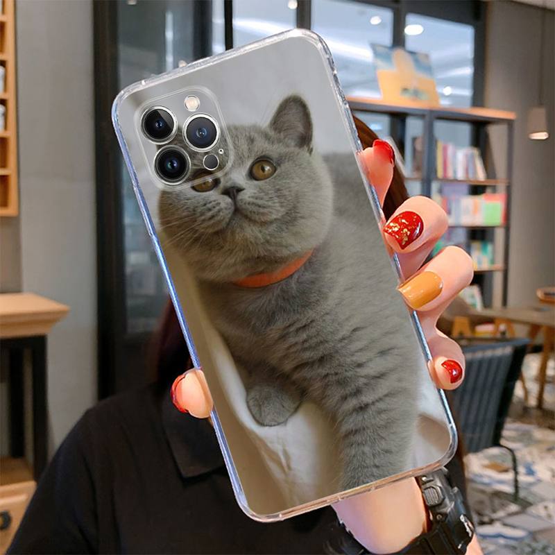 Britská krátkosrstá kočka Pouzdro na telefon pro iPhone 14 13 12 11 Pro Max XS X XR SE 2020 6 7 8 Plus Mini průhledné pouzdro