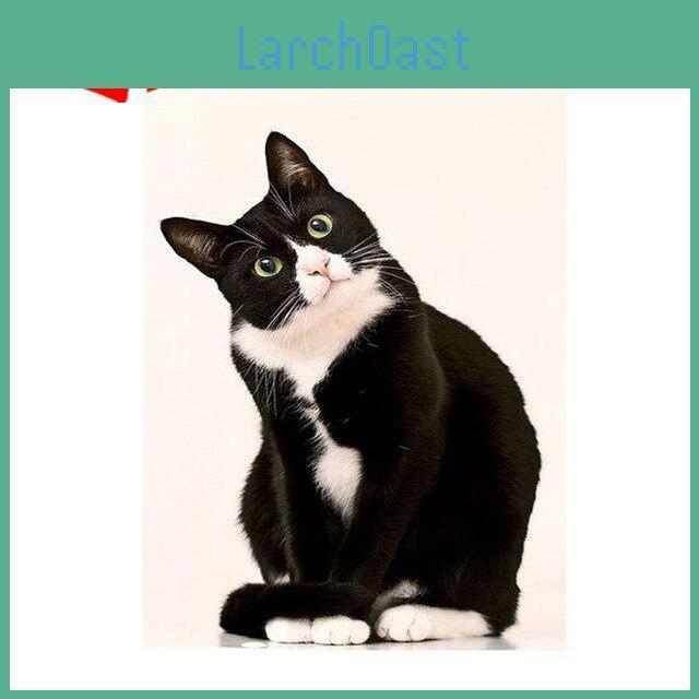 Cat Diy Diamond Embroidery 5d Diamond Painting Cross Stitch Picture Full Round Diamond