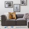 Capybara Dozing In The Sunshine Printing Square Pillow Cover Home Decor Cushions Throw Pillow Living Room Double-Sided Printing