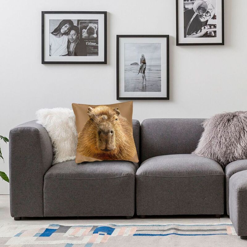 Capybara Dozing In The Sunshine Printing Square Pillow Cover Home Decor Cushions Throw Pillow Living Room Double-Sided Printing