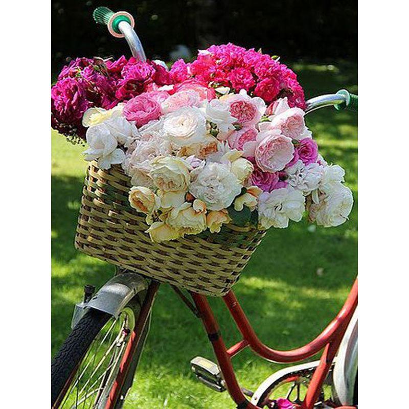 5D DIY Diamond Painting Flower Diamond Art Painting Embroidery Craft Rhinestone Mosaic Gift Home Decoration