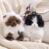 Simulation Cat Puppy Cat Plush Keychain Soft Long Hair Cat Keyring Bag Pendant Hanging Ornaments